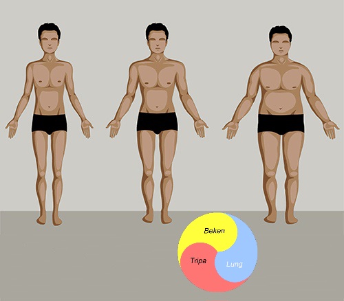 body_types